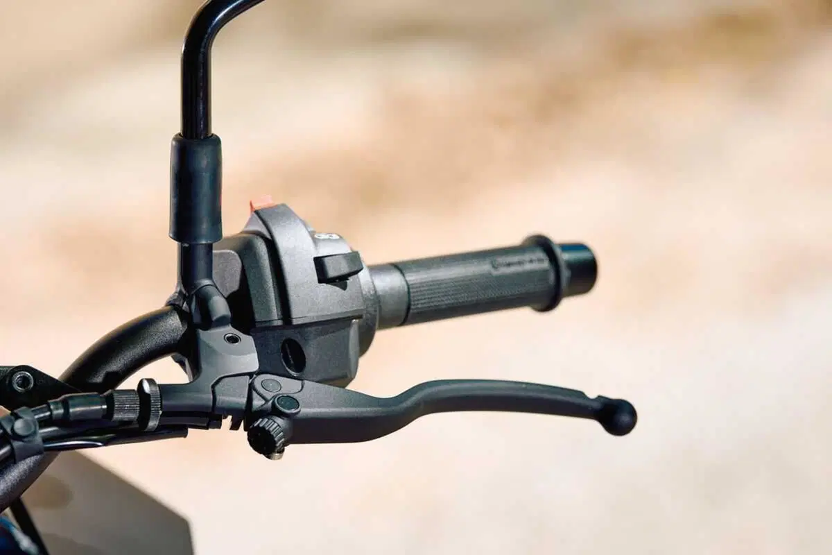 Husqvarna Svartpilen 801 (21)