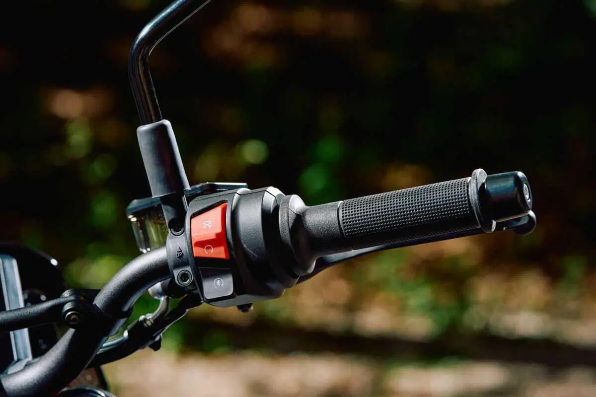 Husqvarna Svartpilen 801 (34)