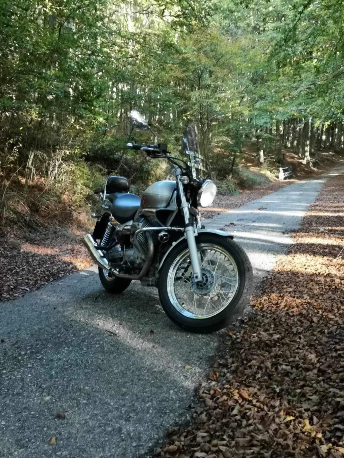 Moto Guzzi Nevada 750 Classic i.e. (2004 - 06) (3)