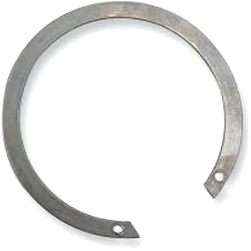 Seger di tenuta piastrina registro frizione per Dy 