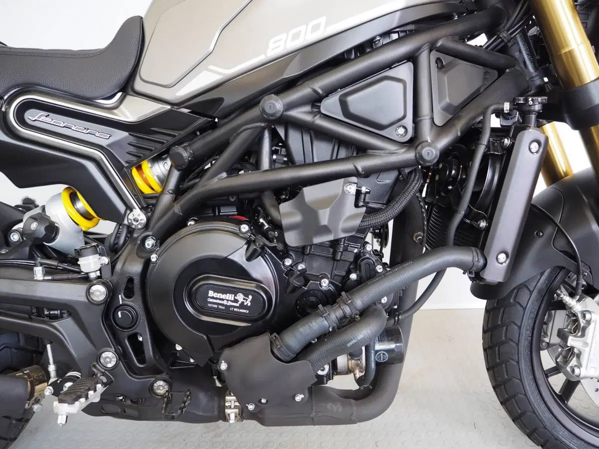 Benelli Leoncino 800 (2022 - 26) (3)