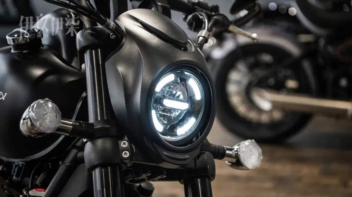 Regnancy RX7: il Bobber con posteriore da 240, non arriverà in Italia (2)