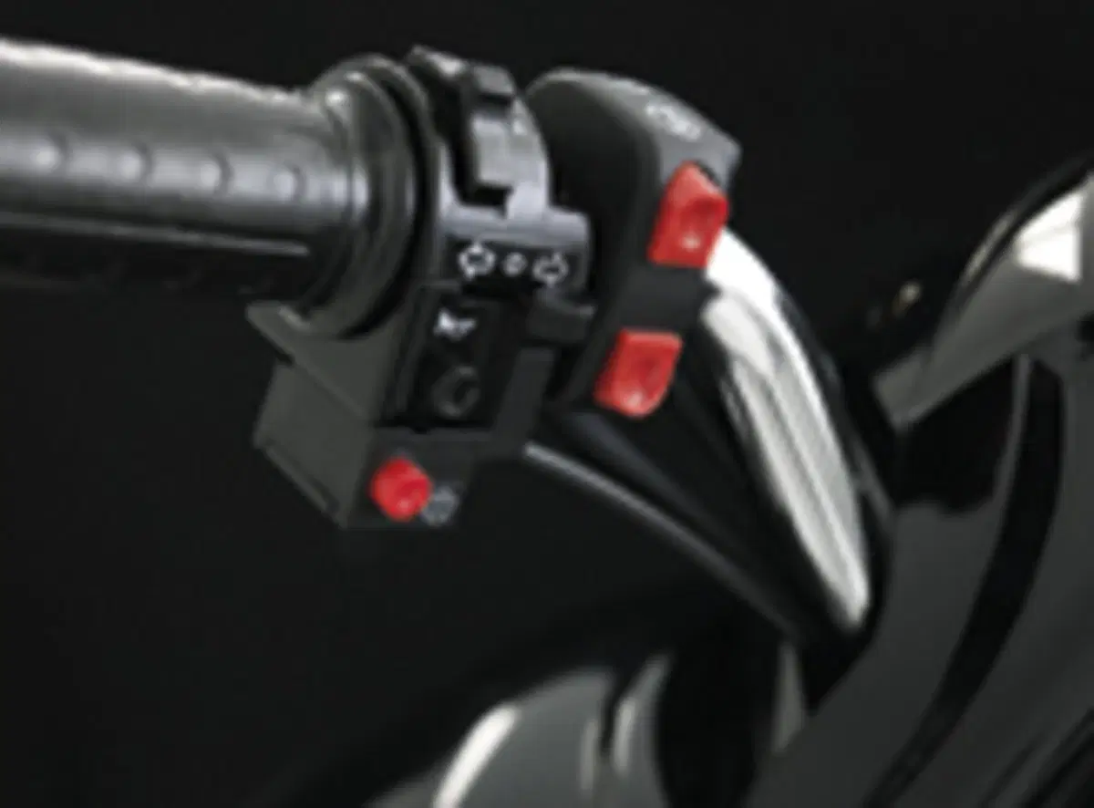 Tomos E-Lite E-Lite (2012 - 20) (5)