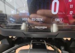 Triumph Tiger 1200 Desert Edition (2020) usata
