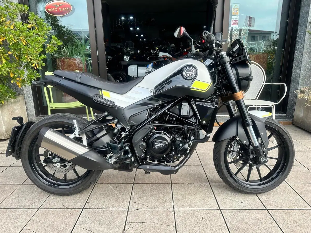 Benelli Leoncino 250 (2021 - 25)