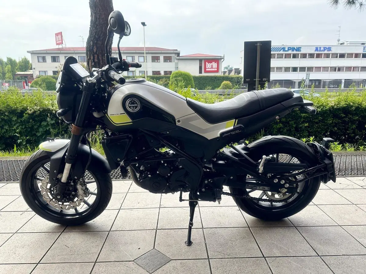 Benelli Leoncino 250 (2021 - 25) (2)