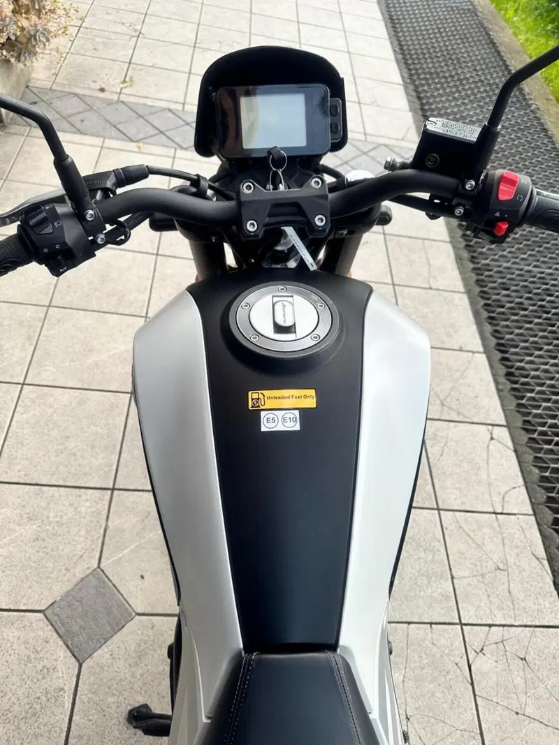 Benelli Leoncino 250 (2021 - 25) (5)