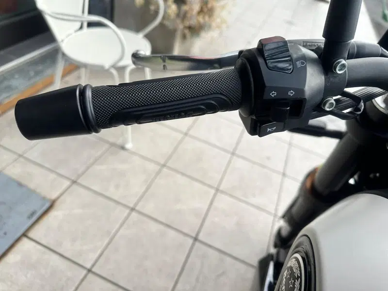 Benelli Leoncino 250 (2021 - 25) (6)