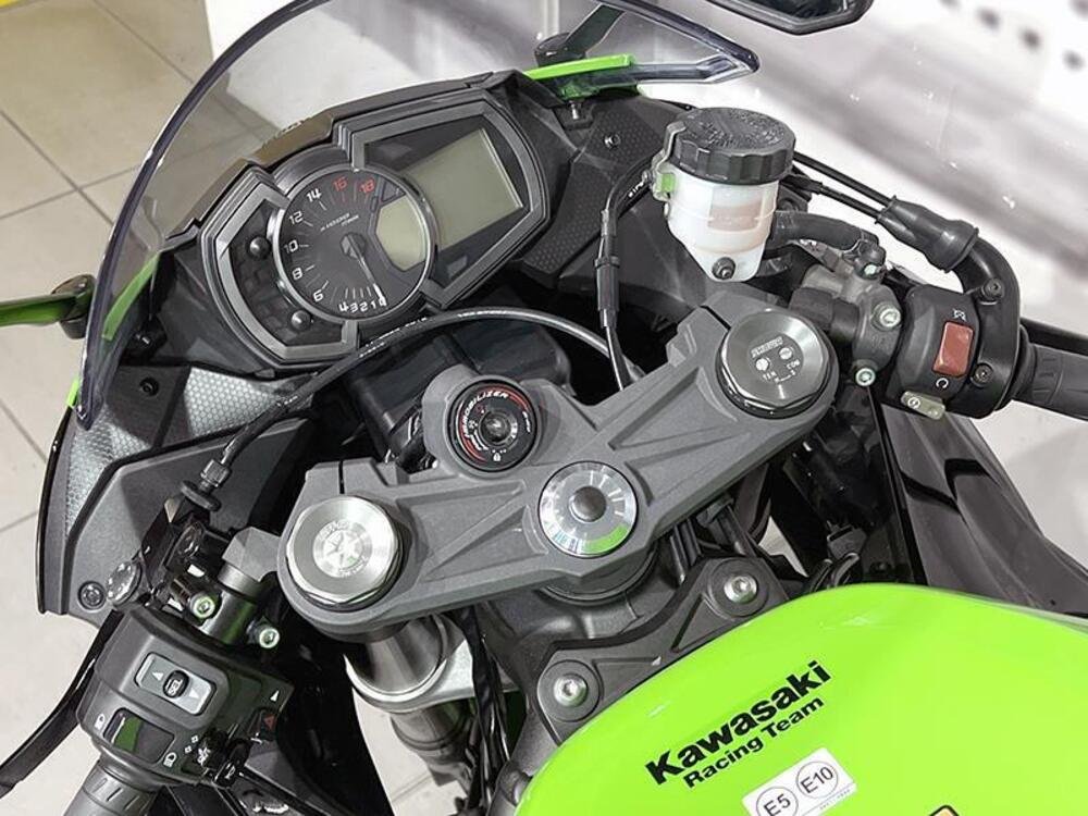 Kawasaki Ninja 125 (2019 - 20) (5)