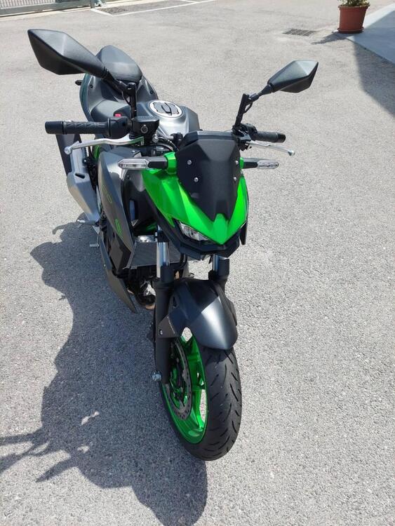 Kawasaki Z 500 SE (2024) (4)