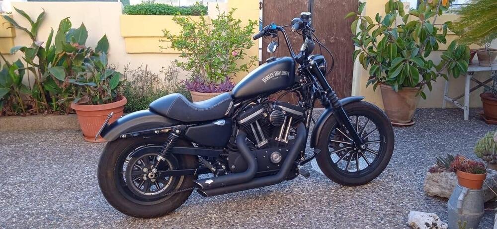 Harley-Davidson 883 Iron (2014 - 16) - XL 883N (2)