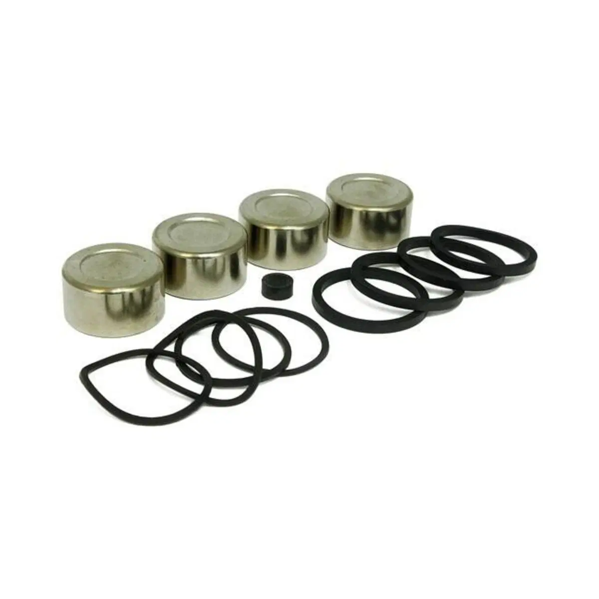 Kit paraoli e pistoncini per pinza freno anteriore 