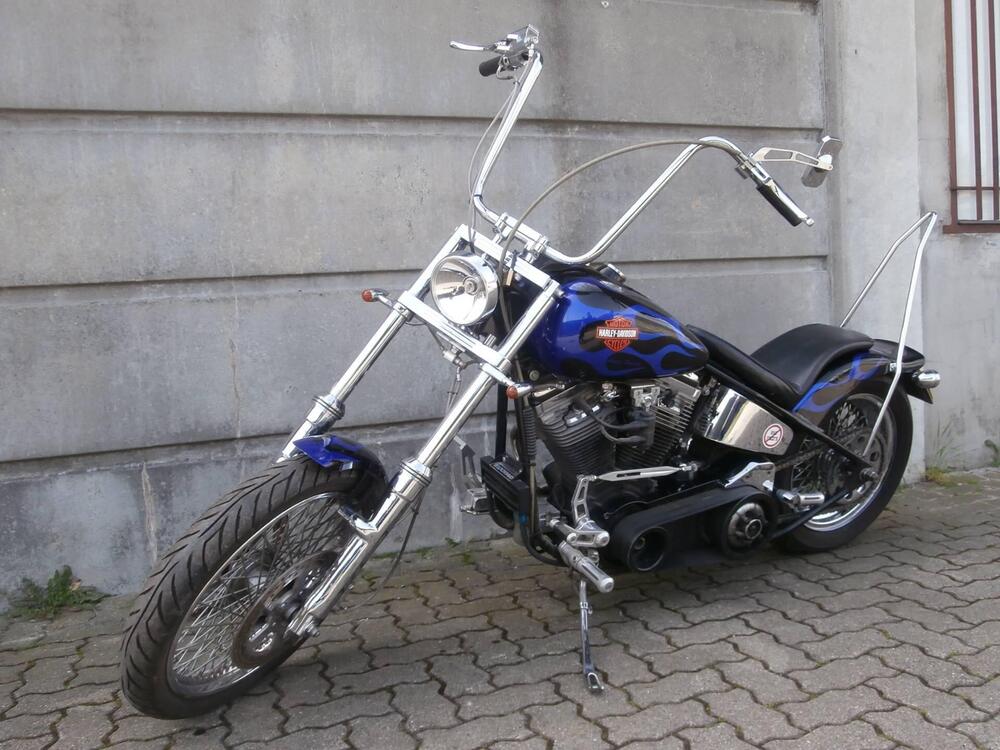 Harley-Davidson 1340 Custom (1989 - 98) (2)