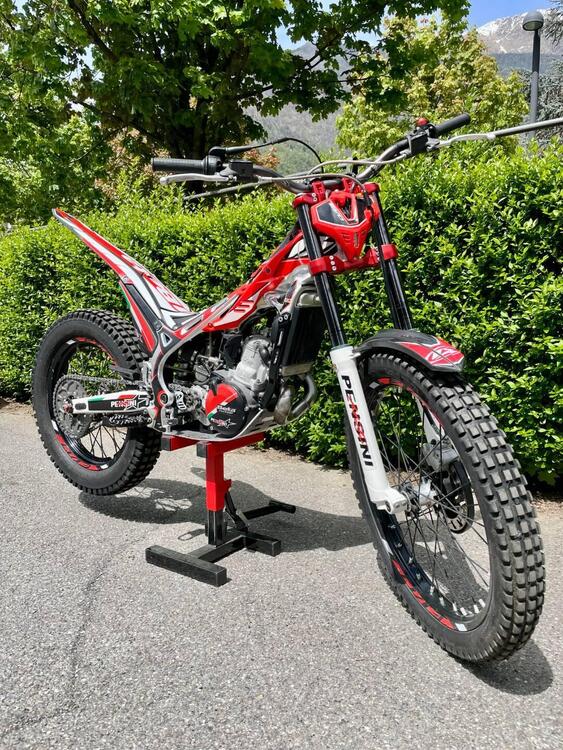 Betamotor Evo 300 2t (2019 - 20) (2)