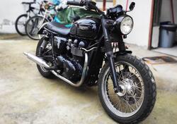 Triumph Bonneville T100 (2001 - 07) usata