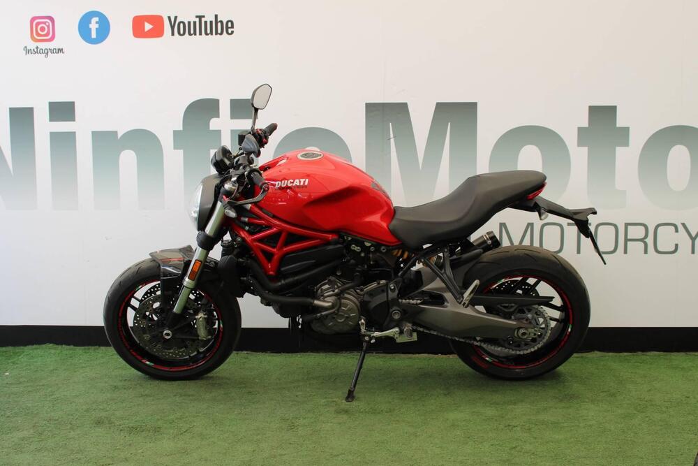 Ducati Monster 821 (2018 - 20) (4)