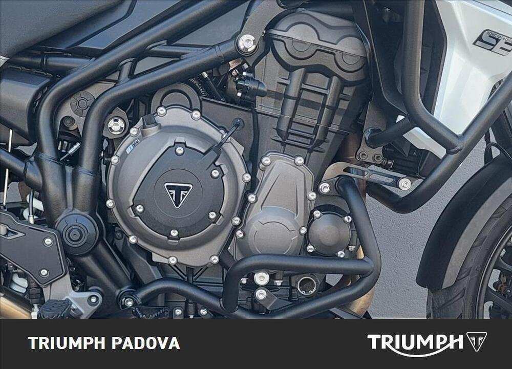 Triumph Tiger 1200 Alpine Edition (2020) (3)