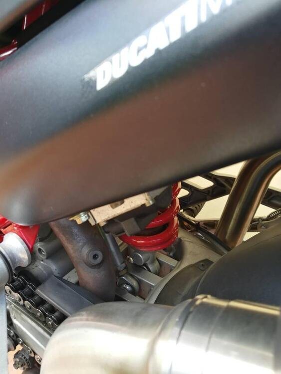 Ducati Monster 1000 DS (2003 - 05) (5)