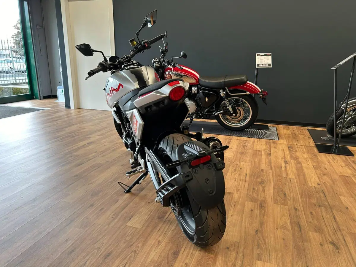 Swm Gran Milano 500 (2023 - 25) (10)