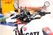 Ducati DesertX Rally (2024) (17)