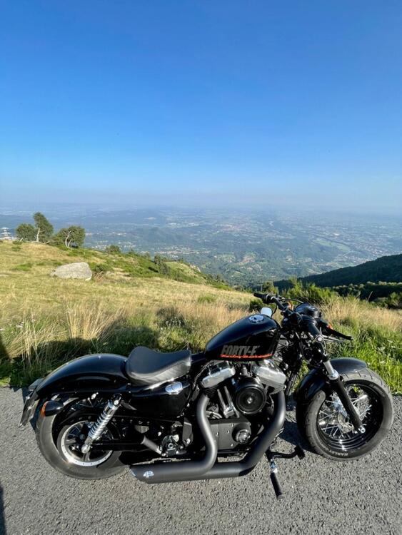 Harley-Davidson 1200 Forty-Eight (2010 - 15) (2)