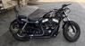 Harley-Davidson 1200 Forty-Eight (2010 - 15) (6)