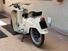 Moto Guzzi Galletto 192 cc (6)