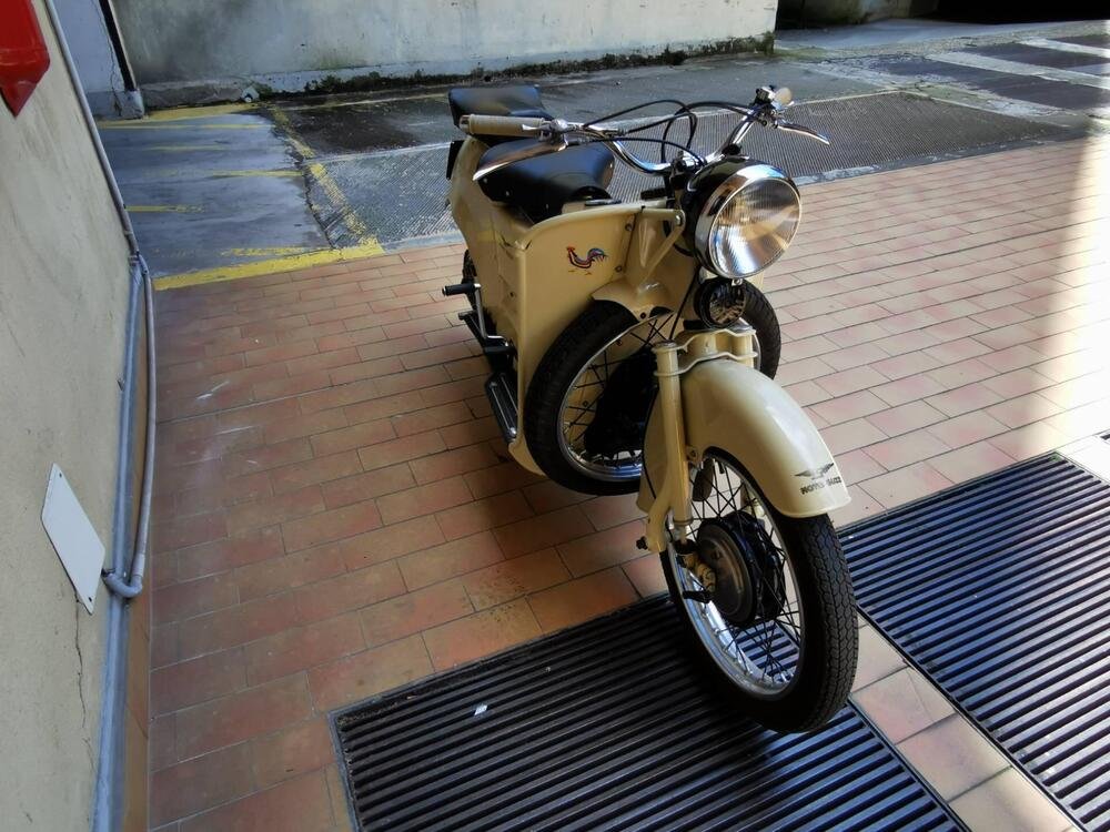 Moto Guzzi Galletto 192 cc (3)