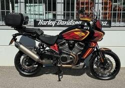 Harley-Davidson Pan America 1250 Special (2020 - 24) usata