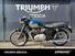 Triumph Bonneville T120 (2021 - 24) (12)