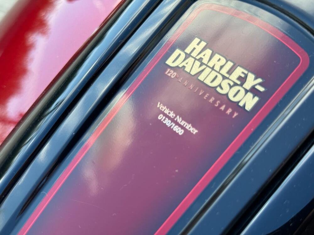 Harley-Davidson Street Glide Special Anniversary (2023) (4)