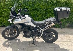 Triumph Tiger 900 GT Pro (2020 - 23) usata