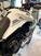Triumph Tiger 900 Rally Pro (2020 - 23) (18)