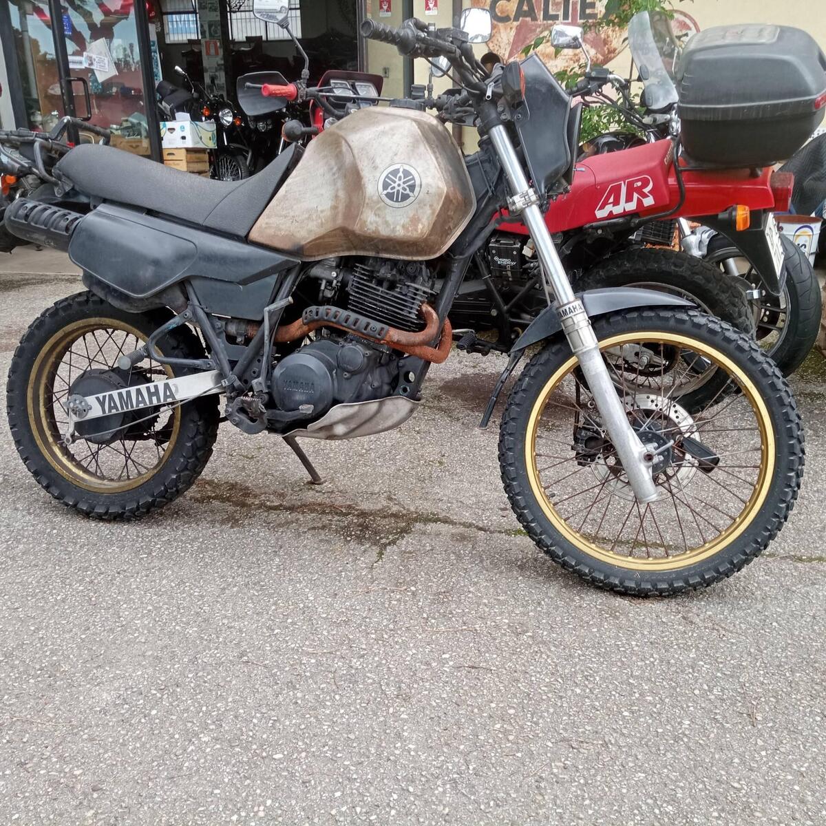 Vendo Yamaha XT 600 Z (1983 - 90) usata a Rimini (codice 9435138) - Moto.it