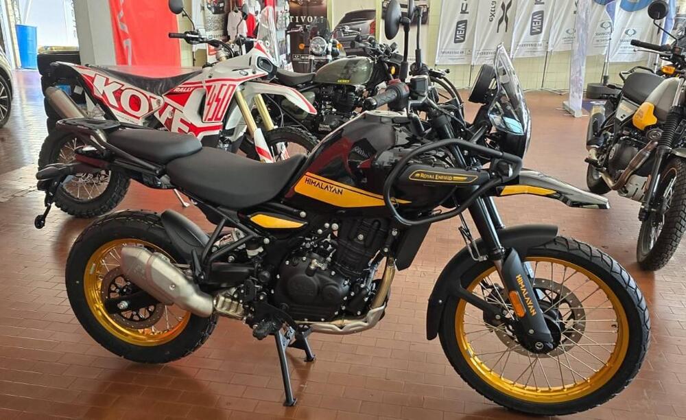 Royal Enfield Himalayan 450 (2024) (4)