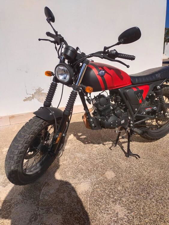 Archive Motorcycle AM 84 50 Scrambler (2022 - 24) (3)