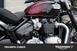 Triumph Bonneville Speedmaster 1200 Stealth Edition (2024) (6)