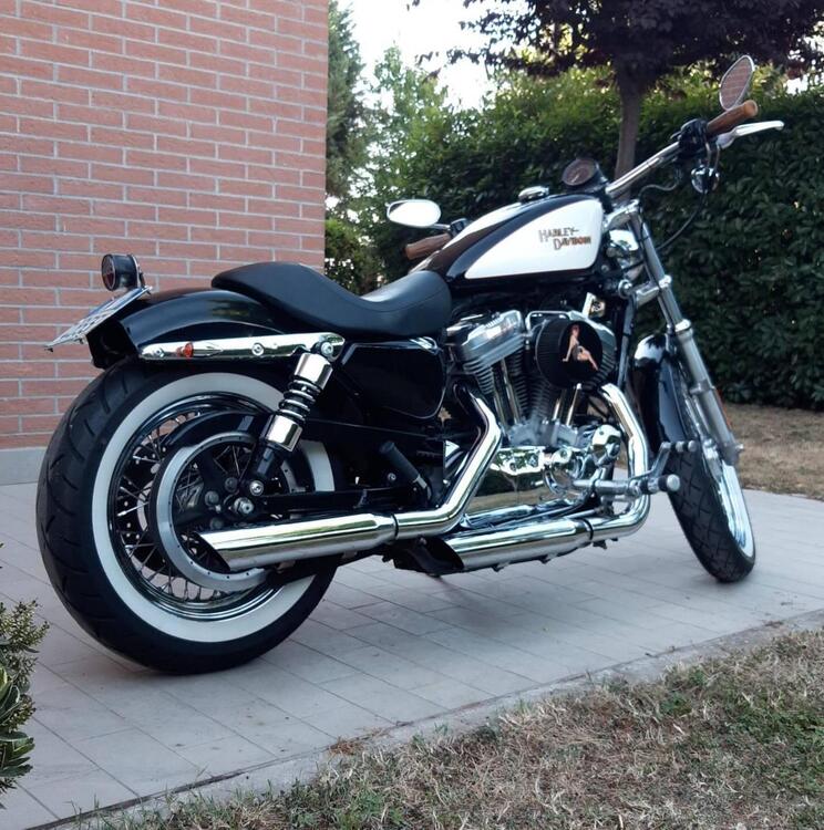 Harley-Davidson 883 (2006 - 07) - XL (2)