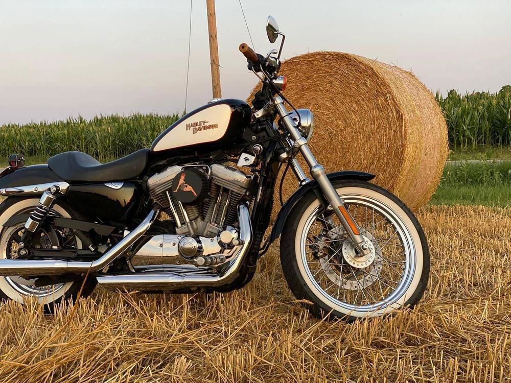 Harley-Davidson 883 (2006 - 07) - XL (5)