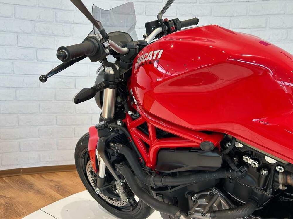 Ducati Monster 821 Stealth (2019 - 20) (3)