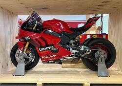 Ducati Panigale V4 Bagnaia 2022 World Champion Replica (2023) nuova