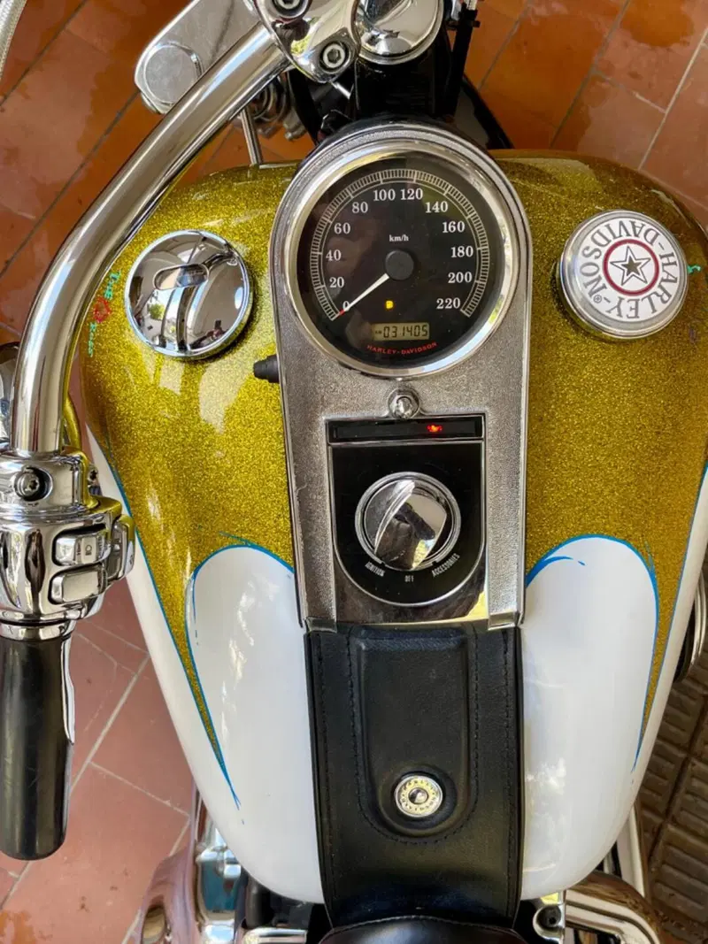 Harley-Davidson 1584 Custom (2007) - FXSTC (2)