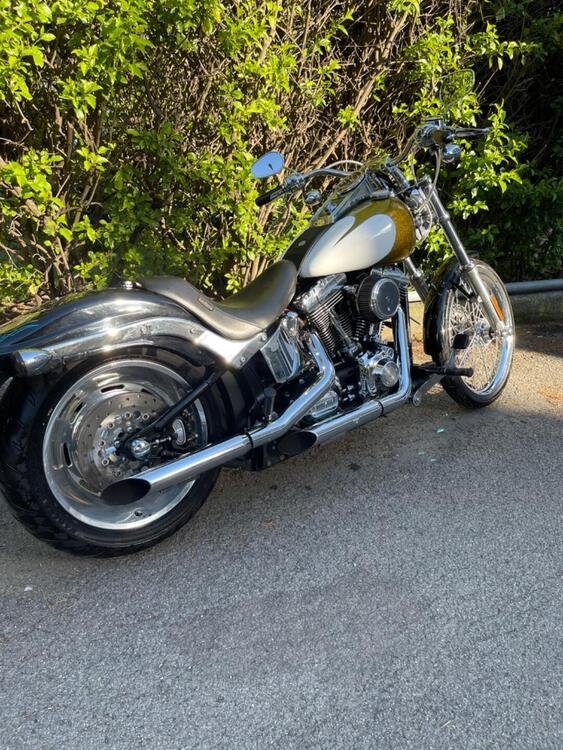 Harley-Davidson 1584 Custom (2007) - FXSTC (3)