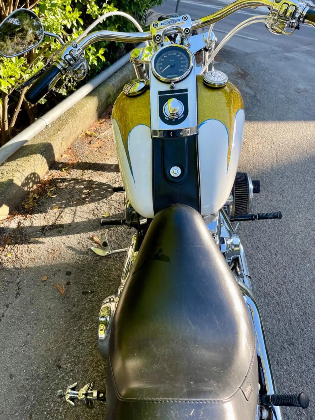 Harley-Davidson 1584 Custom (2007) - FXSTC (4)