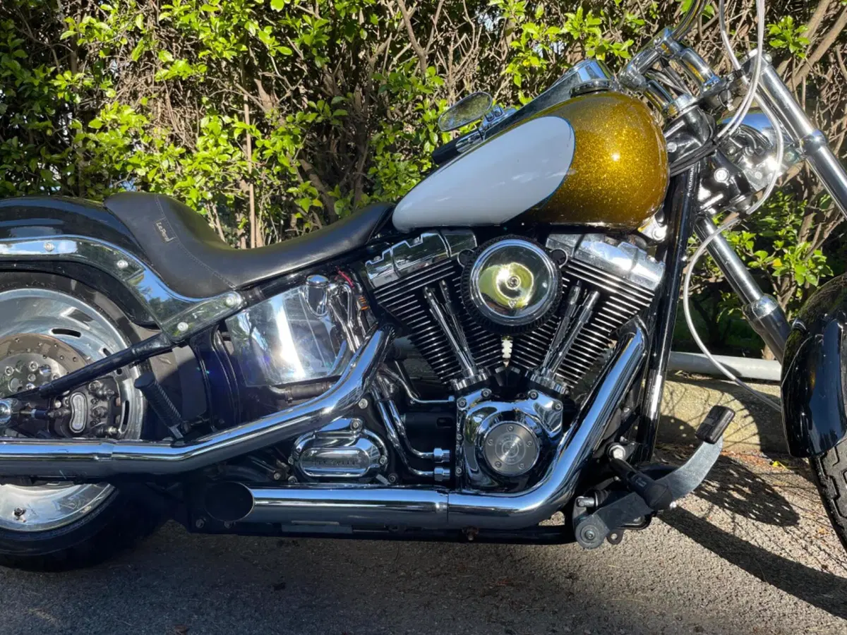 Harley-Davidson 1584 Custom (2007) - FXSTC (7)