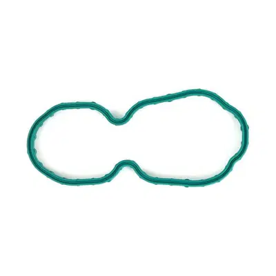 Guarnizione Pompa Benzina per&nbsp;Sportster dal 2007 a 