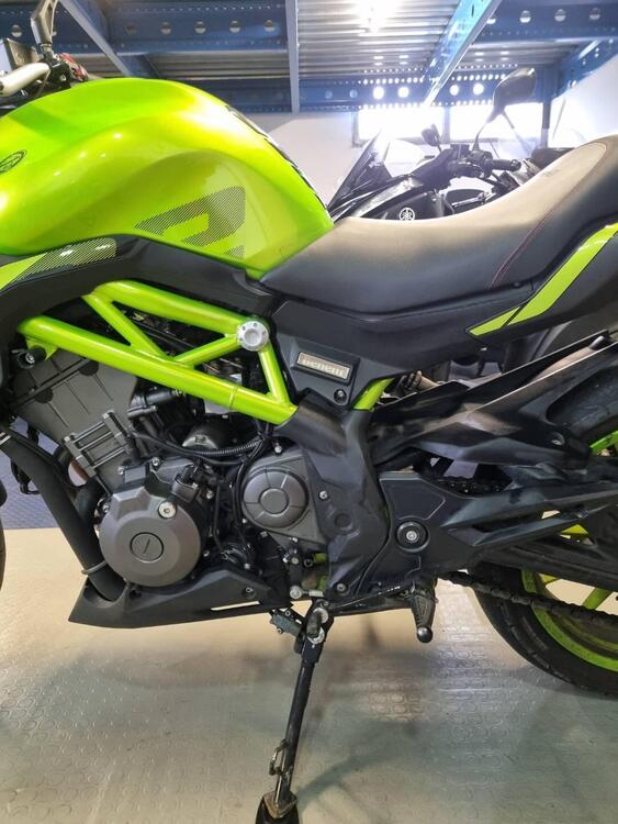 Benelli BN 302 S (2019 - 20) (3)