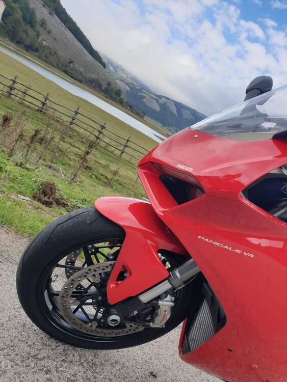 Ducati Panigale V4 1100 (2018 - 19) (4)