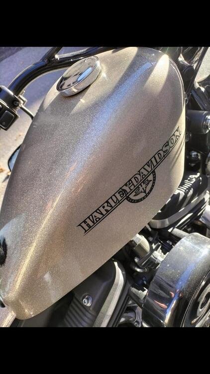 Harley-Davidson 1200 Forty-Eight (2010 - 15) (4)