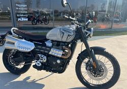 Triumph Scrambler 1200 X (2024) usata